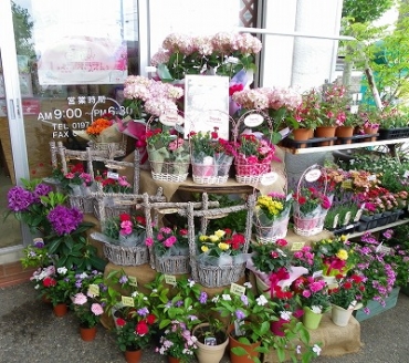「グリーンギャラリーしょうほうえん」　（岩手県奥州市）の花屋店舗写真3