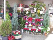 「グリーンギャラリーしょうほうえん」　（岩手県奥州市）の花屋店舗写真1